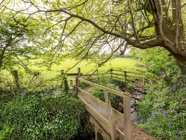 A small wooden bridge crossing a stream surrounded by trees and greenery at 23 Bossiney Bay in Tintagel
