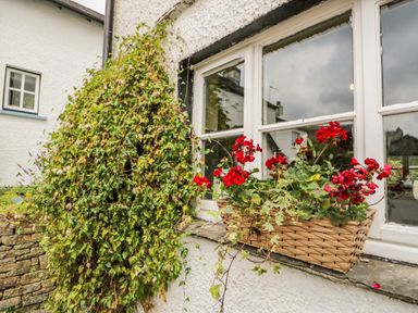 A window with red flowers in a wicker basket and green ivy climbing on the wall at Columbine Cottage in Hawkshead
