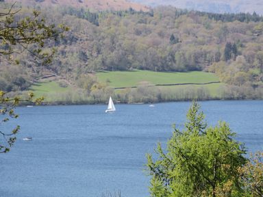 A lake with a sailboat and trees near the shore at Columbine Cottage in Hawkshead