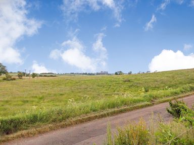A rural landscape with a grassy field a narrow road and a building in the distance at Forget Me Not Lodge in Bamburgh