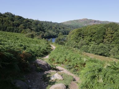 A dirt path with rocks surrounded by green bushes and trees with hills and a body of water in the background at Nook Cottage in Rosthwaite near Keswick