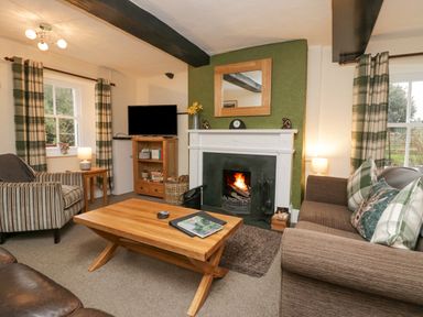 A living room with a fireplace a coffee table striped armchair and a brown sofa with plaid cushions at Nook Cottage Rosthwaite near Keswick