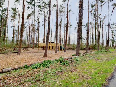 A playground with wooden play equipment and picnic benches in a forested area at The Bakery in Middleton near Belford