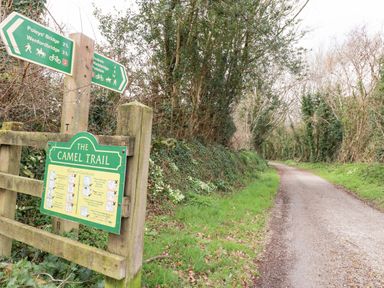 A dirt trail surrounded by trees and bushes with wooden posts and green signs marking The Camel Trail in Hellandbridge near Bodmin