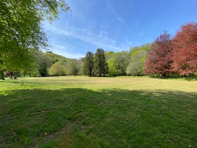 An open grassy field surrounded by various trees including green and red foliage at Primrose in Hellandbridge near Bodmin