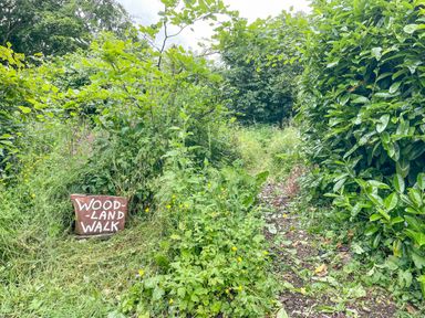 A woodland path with green bushes and plants and a sign saying woodland walk at Quoit X Barn in Stoodleigh near Bampton