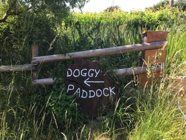 A wooden fence with a sign reading doggy paddock in a grassy outdoor area