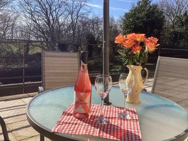 An outdoor patio table with a bottle of rose wine and two wine glasses on a red and white checkered cloth and a vase with orange roses at Quoit X Barn in Stoodleigh near Bampton