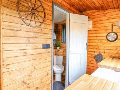 A small wooden kitchen interior with a door leading to a bathroom with a toilet and a small plant at Hideaway Cabin in Cadbury near Thorverton