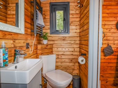A bathroom with a sink and toilet with wooden walls and a small window at Hideaway Cabin Cadbury near Thorverton