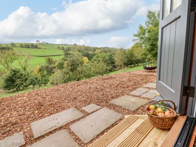 A basket of apples on the doorstep overlooking a garden and green hills at Hideaway Cabin in Cadbury near Thorverton