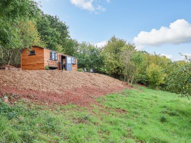 A wooden cabin on a hillside with wood chips and grass surrounded by trees at Hideaway Cabin in Cadbury near Thorverton