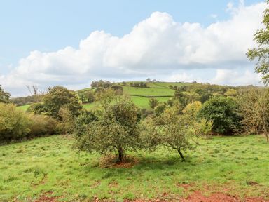 A grassy field with apple trees and rolling green hills in the background at Hideaway Cabin in Cadbury near Thorverton