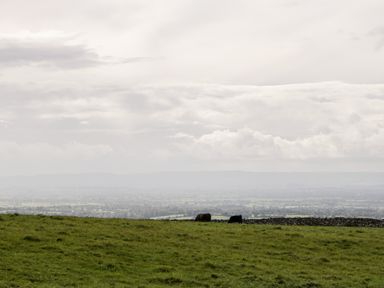 A grassy field with two cows near a stone wall and a cloudy sky at Down the Rabbit Hole in Brinsea near Congresbury