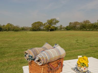 A picnic basket with rolled blankets and a flowerpot with yellow flowers on a white table in a grassy field at Down the Rabbit Hole Brinsea near Congresbury