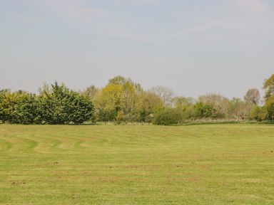 A large grassy field with lines on the grass and trees in the background at Down the Rabbit Hole in Brinsea near Congresbury