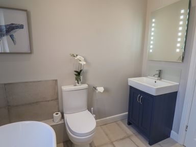 A bathroom with a toilet a blue vanity with a sink a lighted mirror and whale artwork on the wall at Spinnaker House in Scarborough