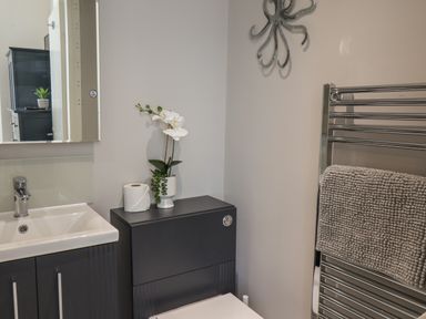 A bathroom with a sink cabinet a toilet with a plant and toilet paper on top and a towel on a heated rail at Spinnaker House Scarborough