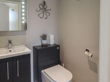 A bathroom with a sink cabinet a toilet with a box top and a metal octopus wall decoration at Spinnaker House in Scarborough