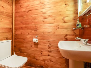 A small bathroom with wooden walls a toilet with a roll of toilet paper and a sink with a soap dispenser at Bearscombe View in Modbury