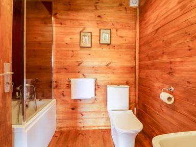 A bathroom with a bathtub shower combination a white toilet and wooden walls at Bearscombe View in Modbury
