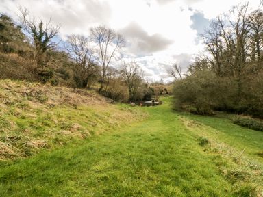 A grassy path leading to a small pond surrounded by leafless trees and bushes at Bearscombe View in Modbury