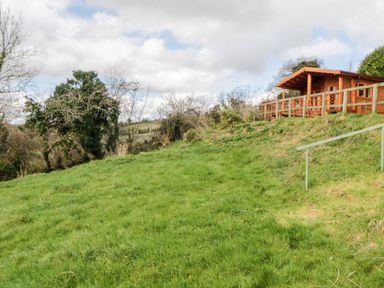 A grassy hill with a wooden cabin on the top right and trees in the background at Bearscombe View Modbury