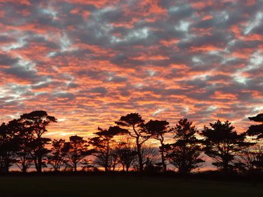 A silhouette of trees against a colorful clouded sky at sunset at Fairway Lodge in Bigbury-On-Sea