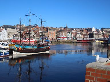 A historic ship docked in a harbor with buildings and a bridge in the background and a seagull on a brick wall at Monteva in Whitby