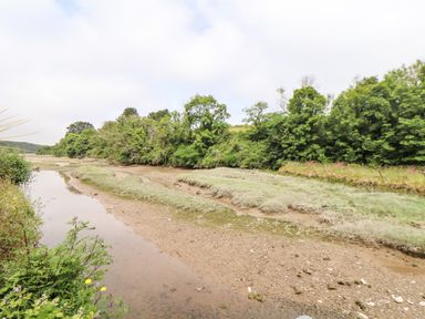 A creek with low water and mudbanks surrounded by trees and plants at Penpoll Little Petherick Creek near Padstow