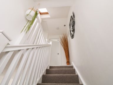 A staircase with gray carpet and white railing with a hanging plant a bundle of sticks in the corner and a metal wall decoration at Penpoll Little Petherick Creek near Padstow