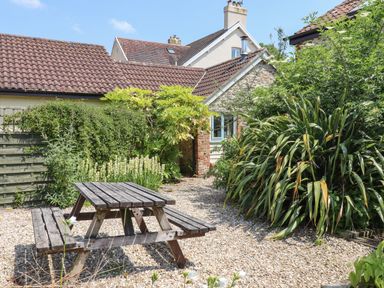 An outdoor garden area with a wooden picnic table surrounded by plants and trees at The Old Barn in Colyton