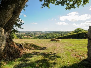 A countryside landscape with a large tree and a rock on grassy field at Sandsgate Lodge Spinster's Rock near Chagford