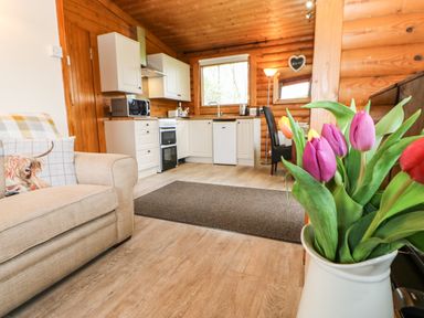 A kitchen area with white cabinets a stove microwave and sink with a beige sofa and tulips in a vase at Alwinton Lodge in Longframlington