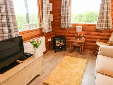 A living room with a television on a cabinet a vase of flowers a small electric stove a side table with a lamp and a yellow rug on the floor at Alwinton Lodge in Longframlington