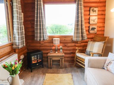 A corner of a wooden room with a rocking chair a small electric stove a side table with a lamp and flowers at Alwinton Lodge in Longframlington