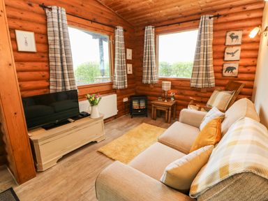 A living room with a sofa a television on a stand a small electric fireplace and windows with curtains at Alwinton Lodge in Longframlington