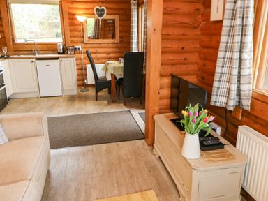 A living room with a TV on a cabinet and a vase with flowers next to a kitchen and dining area at Alwinton Lodge in Longframlington