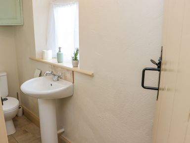 A small bathroom with a pedestal sink toilet window with curtain and a potted plant at Cob Cottage Kilmore County Wexford