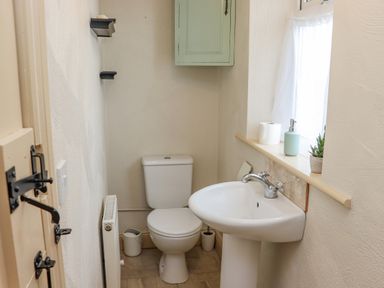 A small bathroom with a toilet sink radiator and window at Cob Cottage Kilmore County Wexford