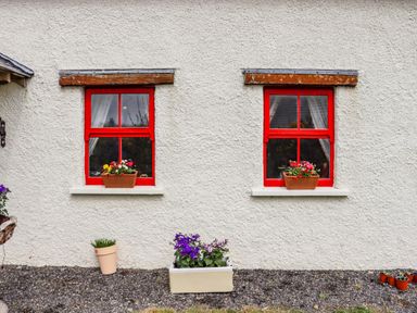 Two red framed windows with flower pots on the windowsills and three planters with flowers below the windows at Cob Cottage in Kilmore County Wexford