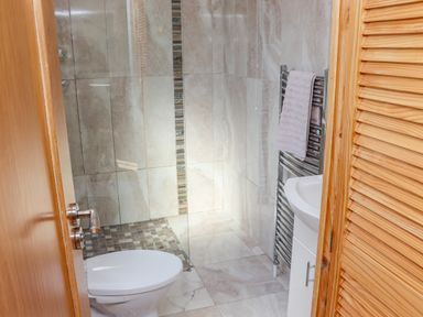 A bathroom with a toilet sink towel rack and a walk in shower at An Teachain in Adamstown County Wexford