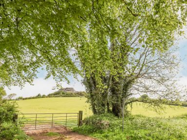 A metal gate on a dirt track with green fields and trees at The Coach House at Thorn Farm in Bridford near Moretonhampstead