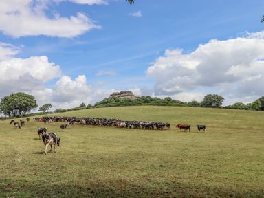 A field with a herd of cows grazing under a partly cloudy sky at The Coach House at Thorn Farm Bridford near Moretonhampstead