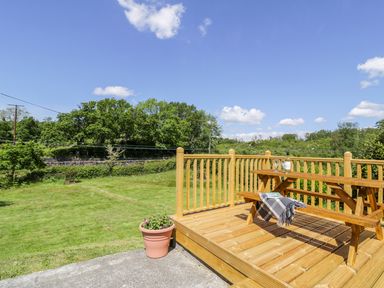 A wooden deck with a picnic table and a potted plant overlooking a grassy yard and trees at Ceris in Penrhyndeudraeth