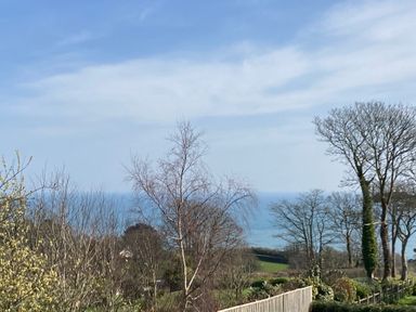 A landscape with bare trees and green fields overlooking the sea at Seaspray Stoke Fleming Near Dartmouth
