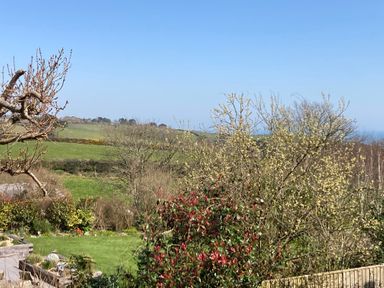 A garden with trees and bushes overlooking green fields and hills under a clear blue sky at Seaspray in Stoke Fleming Near Dartmouth