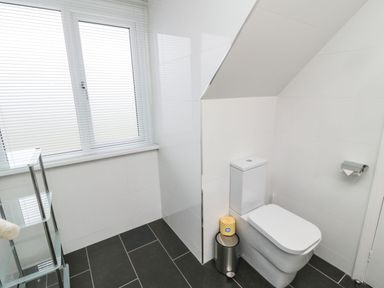 A bathroom with a toilet a trash bin a glass shelving unit and a window with blinds at Glenander in Bamburgh