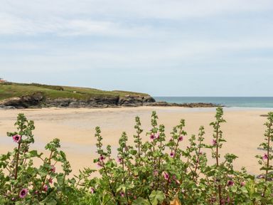 A sandy beach with green plants and purple flowers in the foreground at Constantine Bay Cottage in Constantine Bay