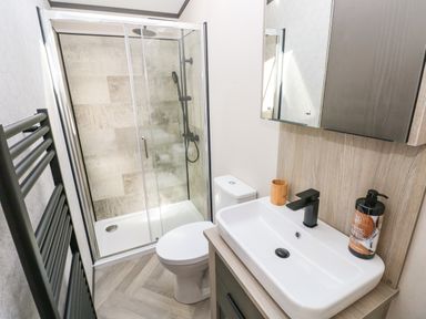 A bathroom with a shower enclosure toilet sink and mirror cabinet at Puffin Lodge in Broad Haven